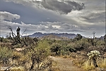 photo thumbnail #11