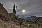 photo thumbnail #5