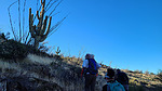 photo thumbnail #2