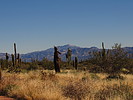 photo thumbnail #11