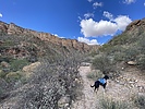photo thumbnail #1