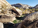 photo thumbnail #3