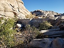 photo thumbnail #5