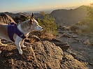 photo thumbnail #6