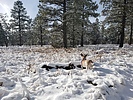 photo thumbnail #3
