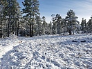 photo thumbnail #5