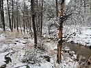 photo thumbnail #8