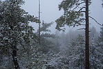photo thumbnail #9