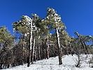 photo thumbnail #11