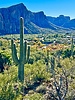 photo thumbnail #12