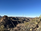 photo thumbnail #1