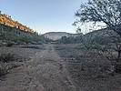 photo thumbnail #8