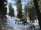 photo thumbnail #1
