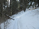 photo thumbnail #2