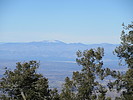 photo thumbnail #10