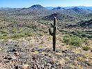 photo thumbnail #3