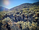 photo thumbnail #12