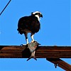 photo thumbnail #2
