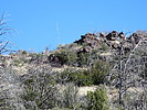 photo thumbnail #5