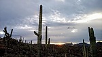 photo thumbnail #5