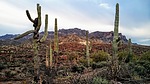 photo thumbnail #8