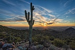 photo thumbnail #13
