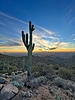 photo thumbnail #12