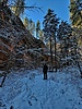 photo thumbnail #8