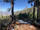 photo thumbnail #7