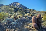 photo thumbnail #12