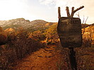photo thumbnail #2