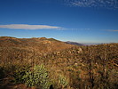 photo thumbnail #11