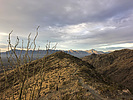 photo thumbnail #5