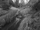 photo thumbnail #8