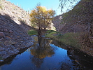 photo thumbnail #9
