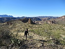 photo thumbnail #2