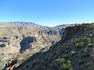photo thumbnail #4