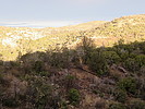 photo thumbnail #8