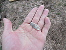 photo thumbnail #11