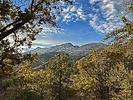 photo thumbnail #4