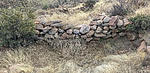 photo thumbnail #14