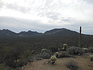 photo thumbnail #4