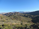 photo thumbnail #2