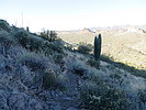 photo thumbnail #13