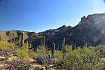 photo thumbnail #5