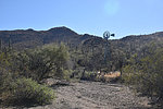 photo thumbnail #13