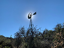 photo thumbnail #14