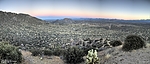 photo thumbnail #1