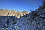 photo thumbnail #7