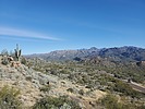 photo thumbnail #3